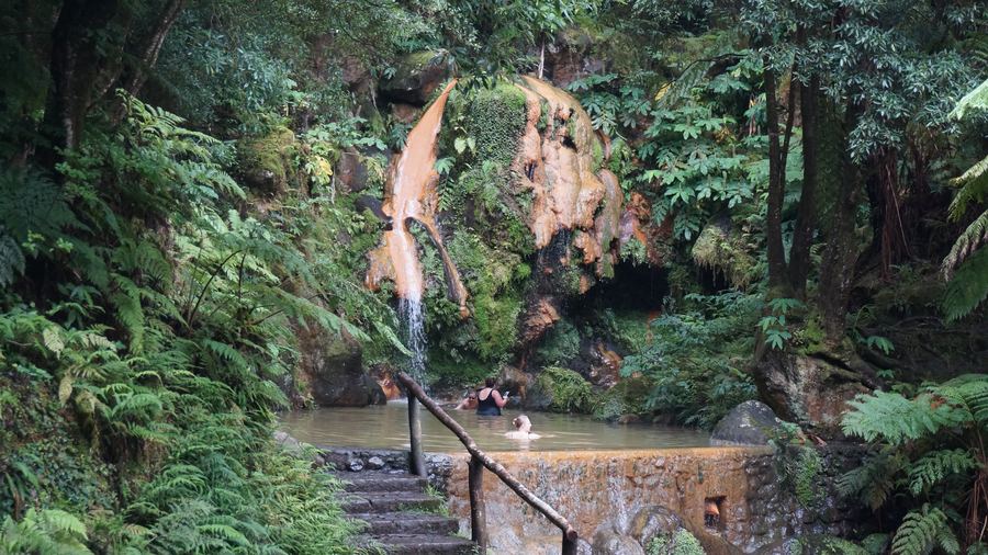 Cascata e piscina termal da Caldeira Velha, rodeadas de fetos