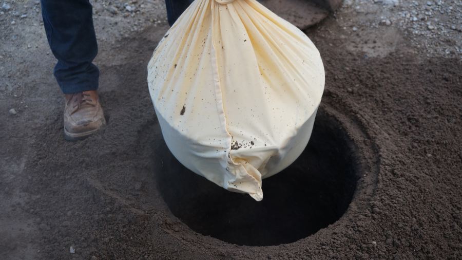Cozido das Furnas a ser retirado da terra vulcânica