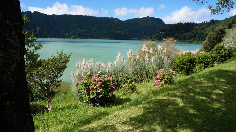 Margens verdes da Lagoa das Furnas